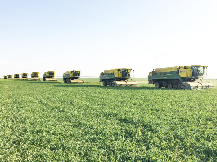 Hack Harvest Engelse weg